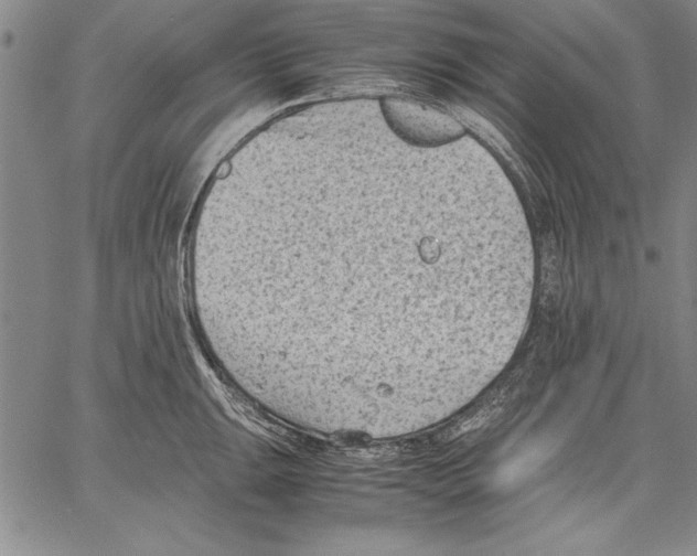 X0000060551047200512011611