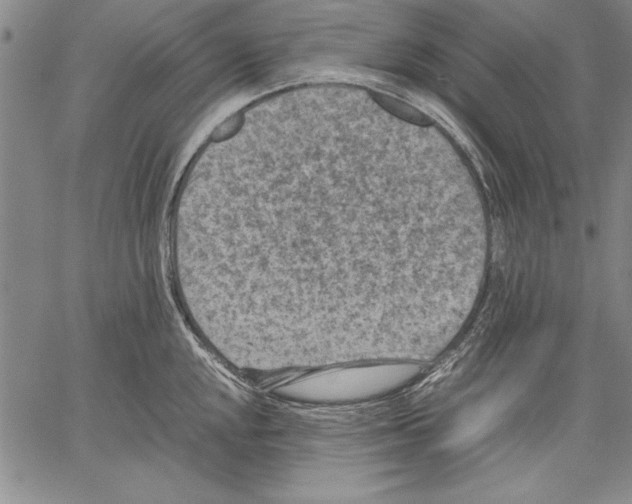 X0000060551048200512011611