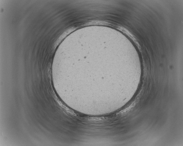 X0000060551049200512011611