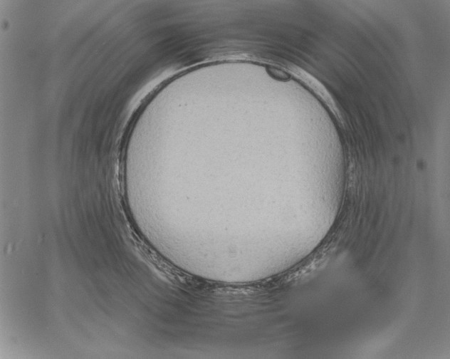 X0000060551051200512011611