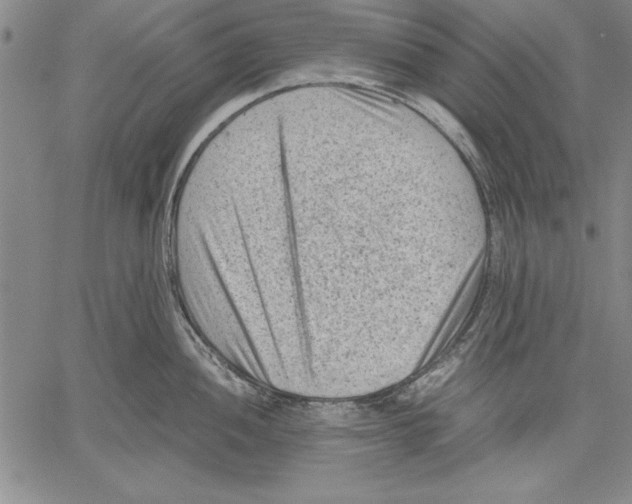 X0000060551052200512011611