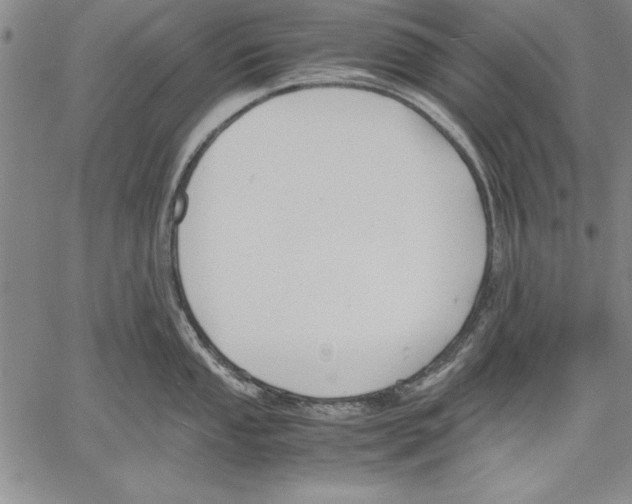 X0000060551053200512011611