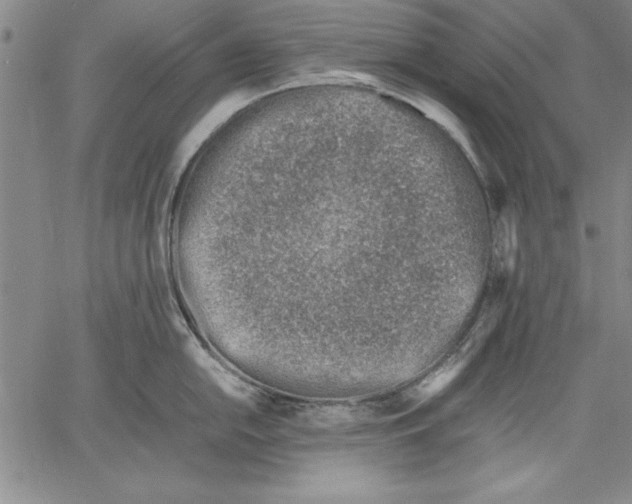 X0000060551054200512011611