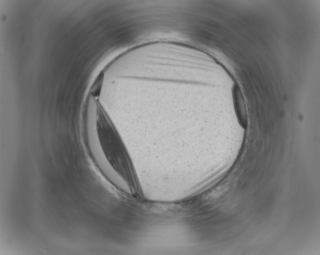 X0000060551056200512011611