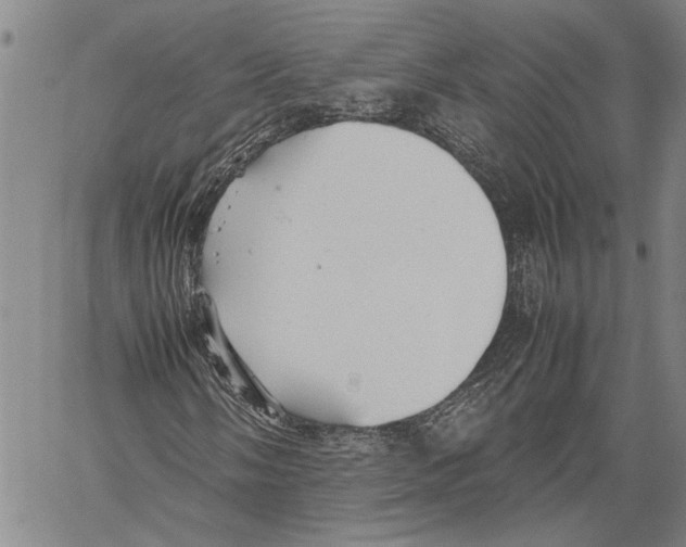 X0000060551058200512011610