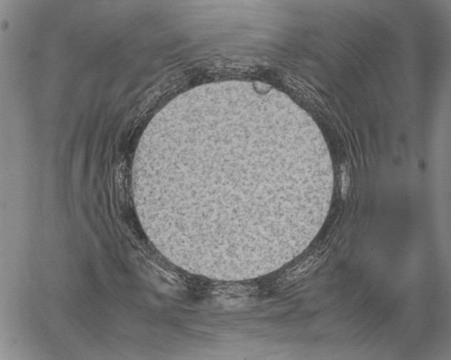 X0000060551059200512011610