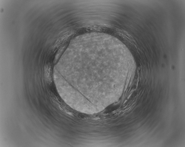 X0000060551060200512011610