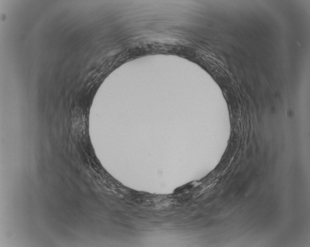 X0000060551061200512011610