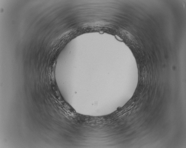 X0000060551062200512011610