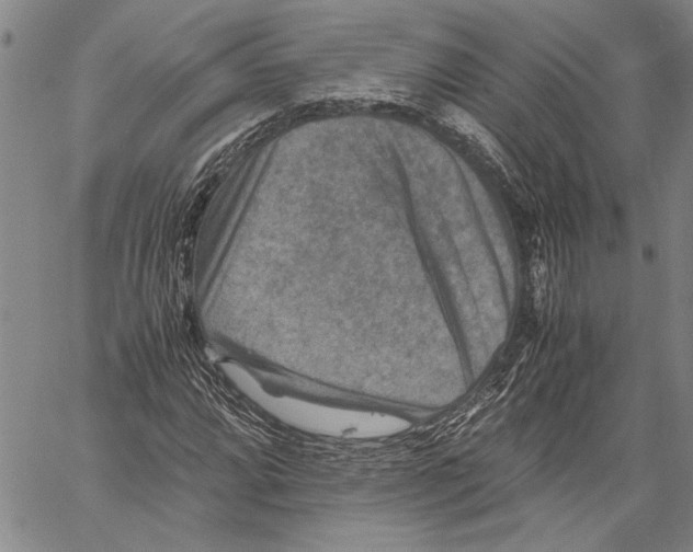 X0000060551064200512011610