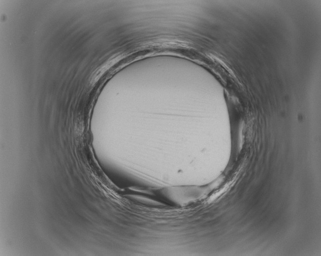 X0000060551065200512011610