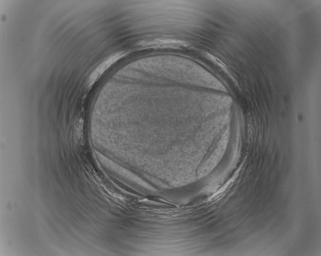 X0000060551066200512011610