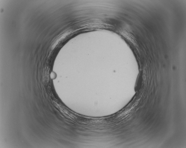 X0000060551067200512011610