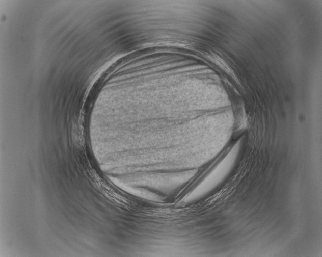 X0000060551068200512011610