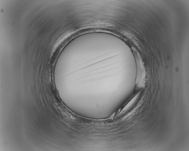 X0000060551069200512011610