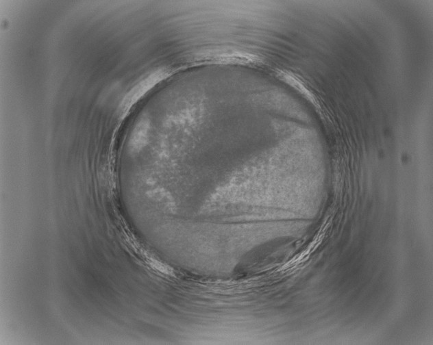 X0000060551071200512011610