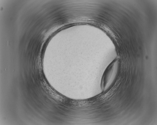 X0000060551072200512011610