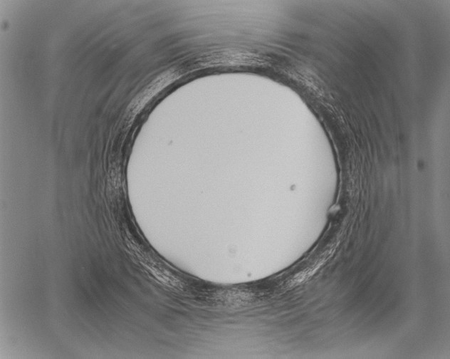 X0000060551073200512011610