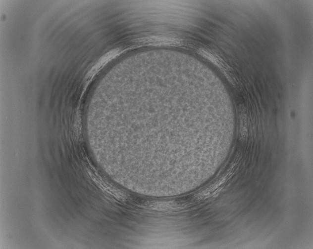 X0000060551074200512011610