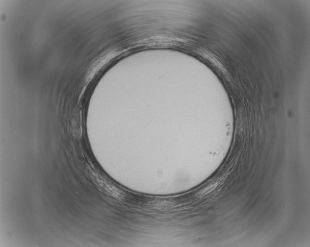 X0000060551075200512011610