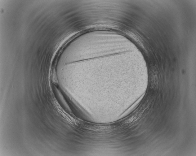 X0000060551076200512011610