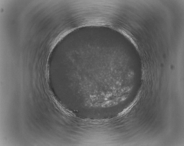 X0000060551077200512011610