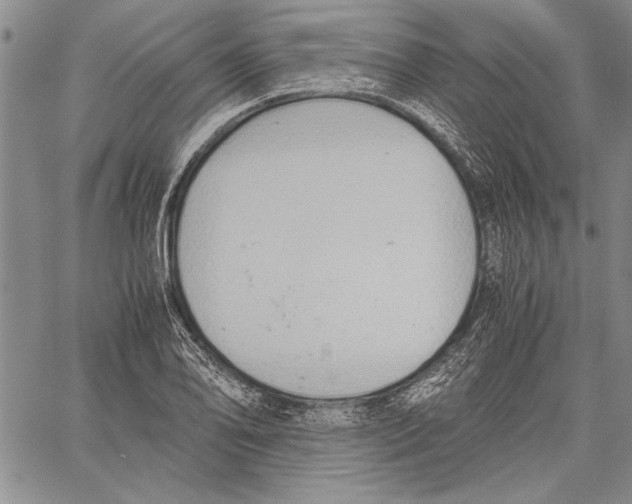 X0000060551078200512011610