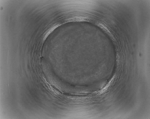 X0000060551081200512011610