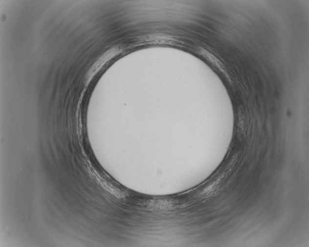 X0000060551082200512011610