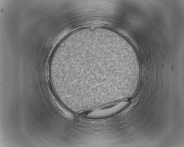 X0000060551083200512011610