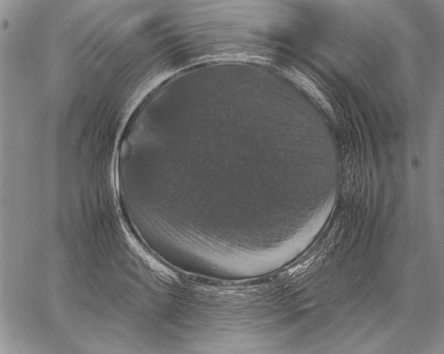 X0000060551084200512011610