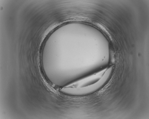 X0000060551085200512011610