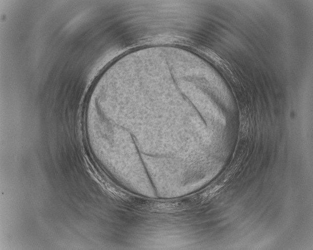 X0000060551086200512011610