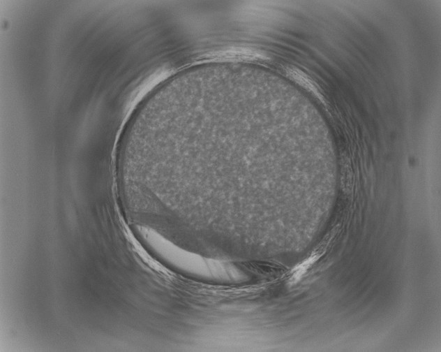 X0000060551087200512011610