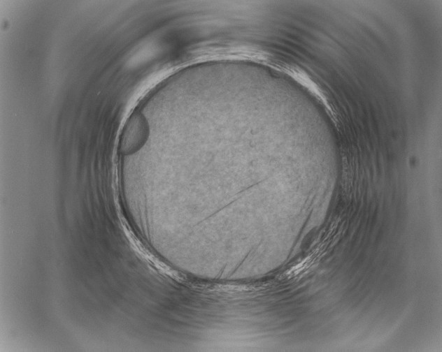 X0000060551088200512011610