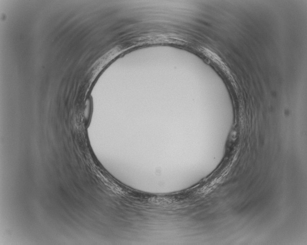 X0000060551089200512011610