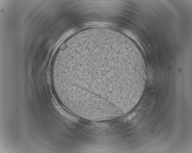 X0000060551090200512011610