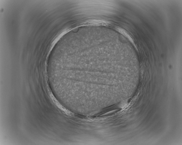 X0000060551091200512011610