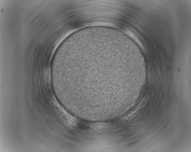 X0000060551092200512011610