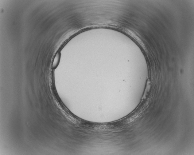 X0000060551093200512011610