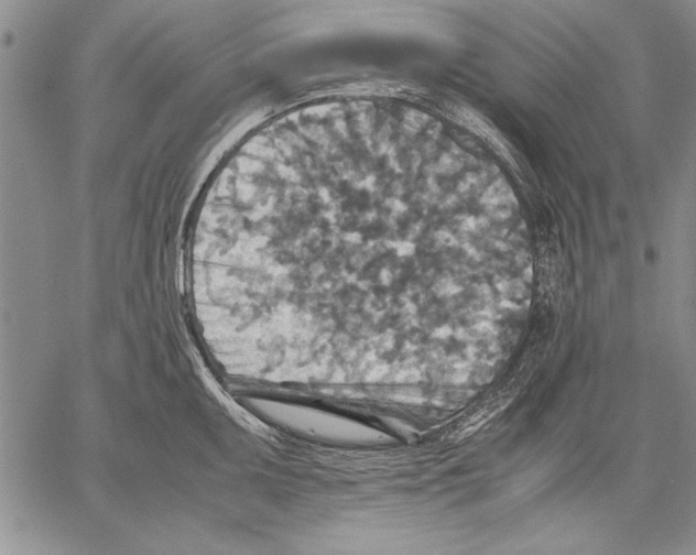 X0000060551095200512011610