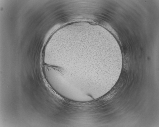 X0000060551096200512011610