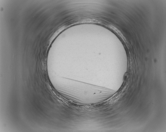 X0000060551097200512011610