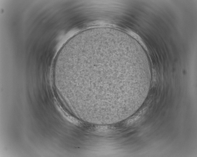 X0000060551098200512011610