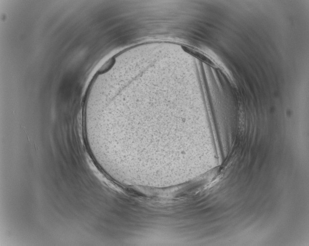 X0000060551100200512011610