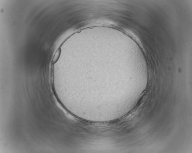 X0000060551103200512011610