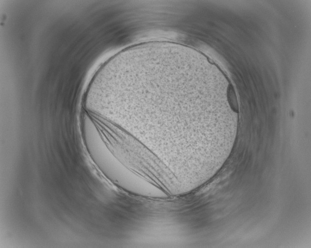 X0000060551104200512011610