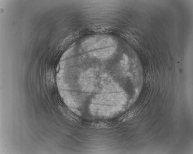 X0000060551106200512011609