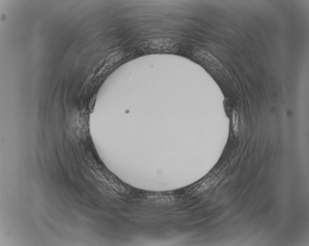 X0000060551107200512011609