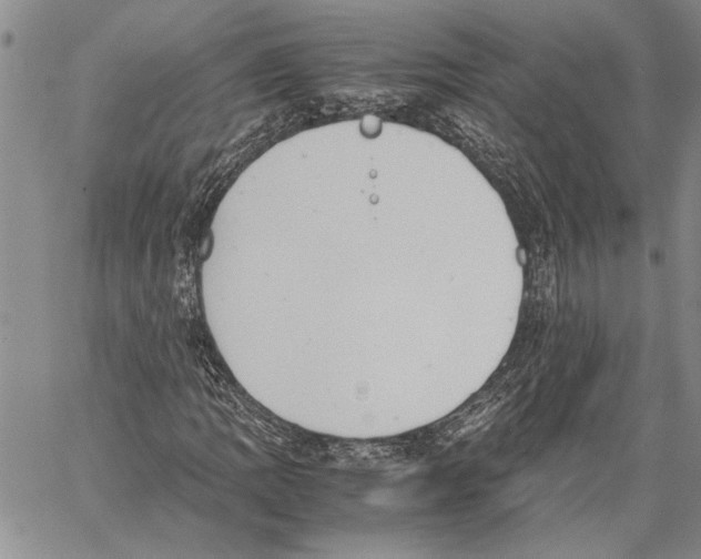 X0000060551109200512011609